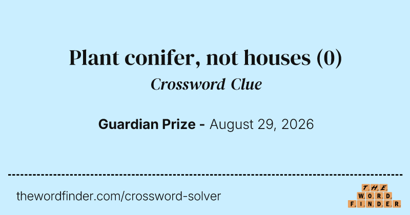 Plant conifer, not houses crossword clue image