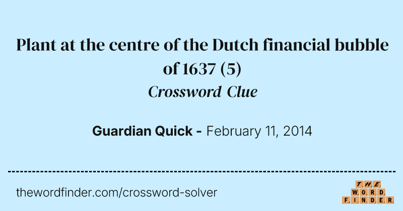 Plant at the centre of the Dutch financial bubble of 1637 crossword clue image