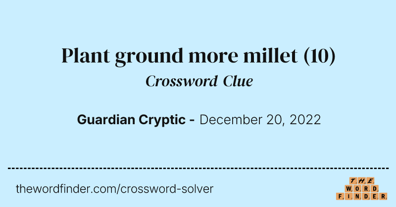 Plant ground more millet crossword clue image