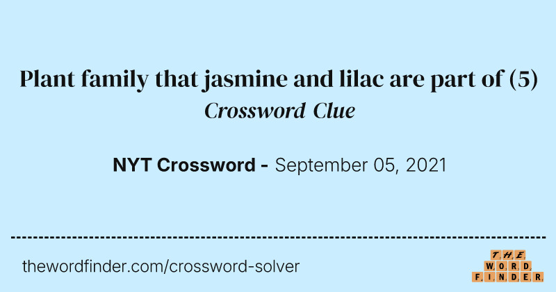 Plant family that jasmine and lilac are part of crossword clue image