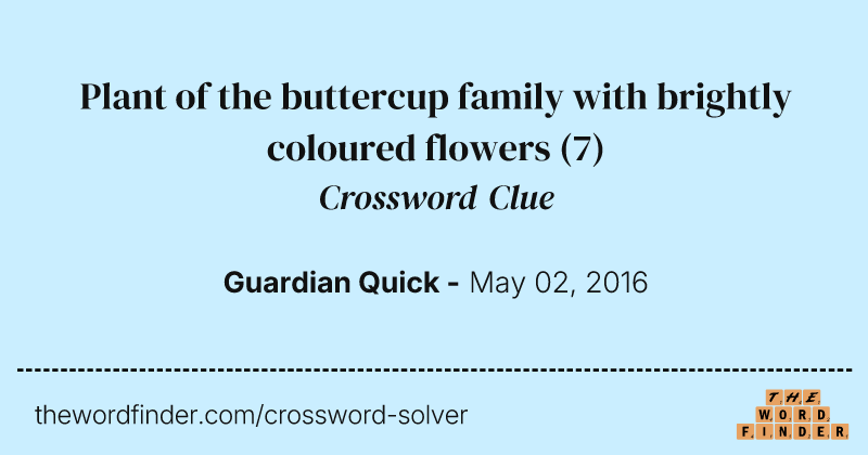 Plant of the buttercup family with brightly coloured flowers crossword clue image