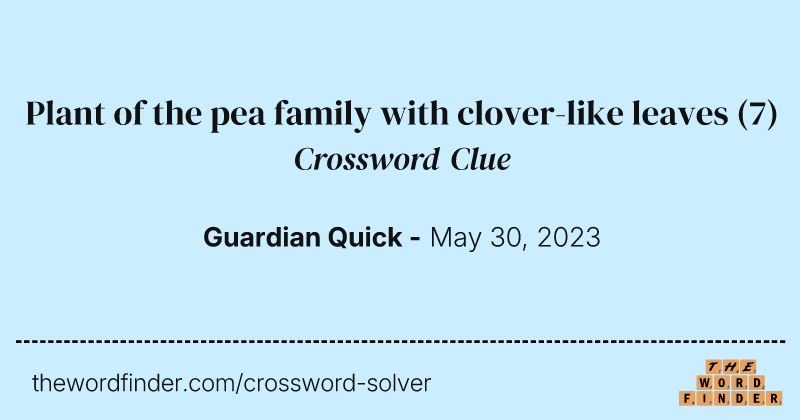 Plant of the pea family with clover-like leaves crossword clue image