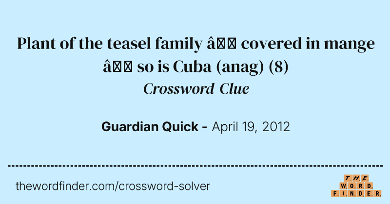 Plant of the teasel family — covered in mange — so is Cuba (anag) crossword clue image