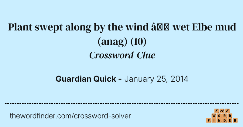 Plant swept along by the wind — wet Elbe mud (anag) crossword clue image