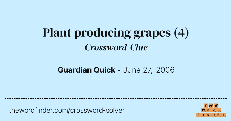 Plant producing grapes crossword clue image