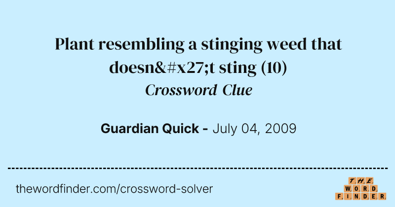 Plant resembling a stinging weed that doesn't sting crossword clue image