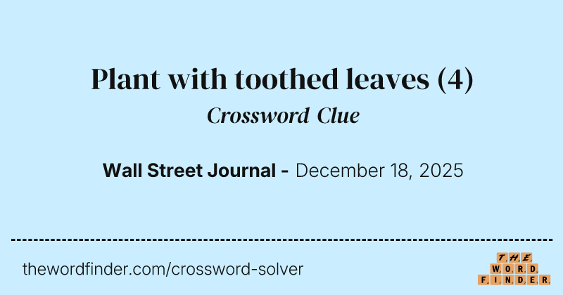 Plant with toothed leaves crossword clue image