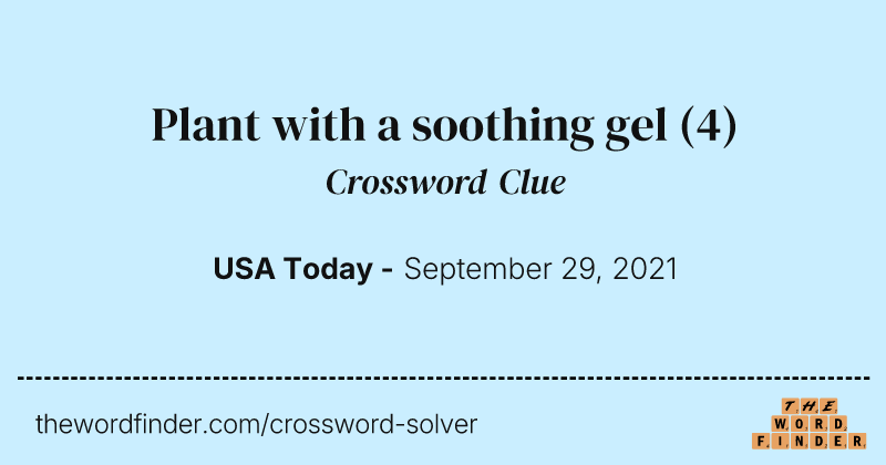 Plant with a soothing gel crossword clue image