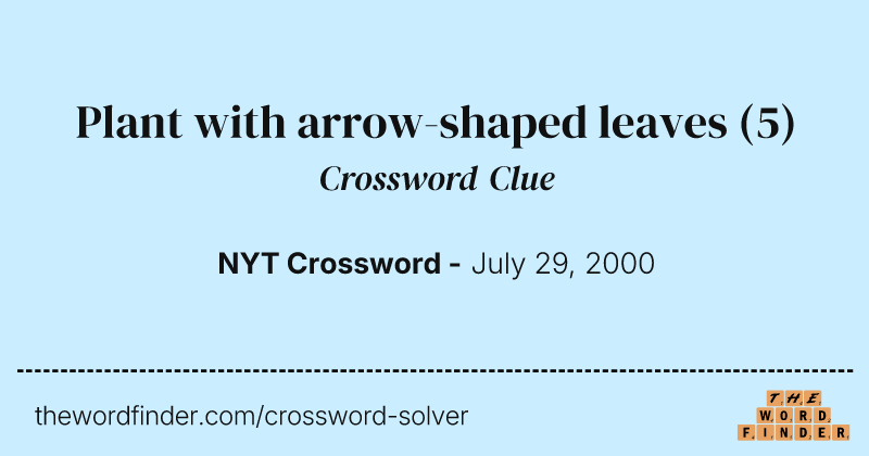 Plant with arrow-shaped leaves crossword clue image