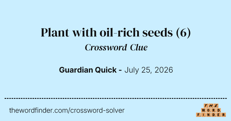 Plant with oil-rich seeds crossword clue image