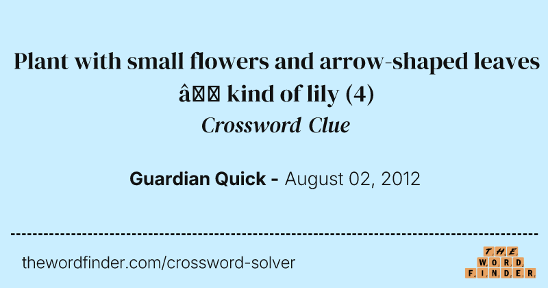 Plant with small flowers and arrow-shaped leaves — kind of lily crossword clue image