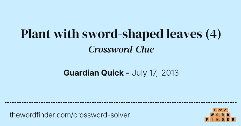 Plant with sword-shaped leaves crossword clue image