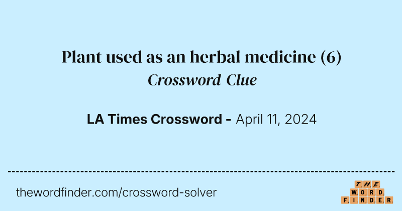 Plant used as an herbal medicine crossword clue image