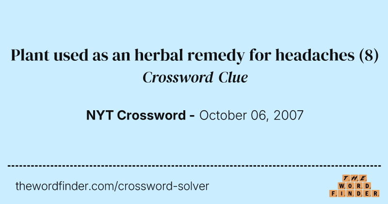 Plant used as an herbal remedy for headaches crossword clue image