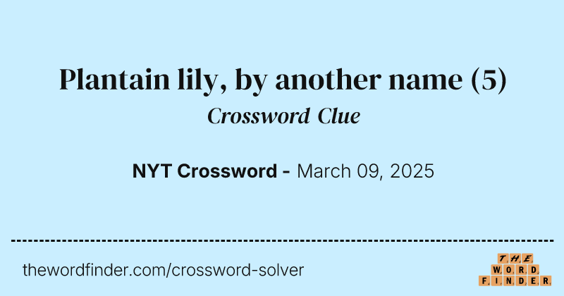 Plantain lily, by another name crossword clue image