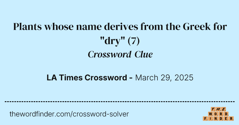 Plants whose name derives from the Greek for "dry" crossword clue image