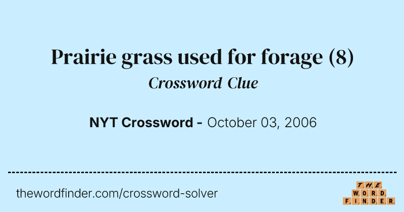 Prairie grass used for forage crossword clue image