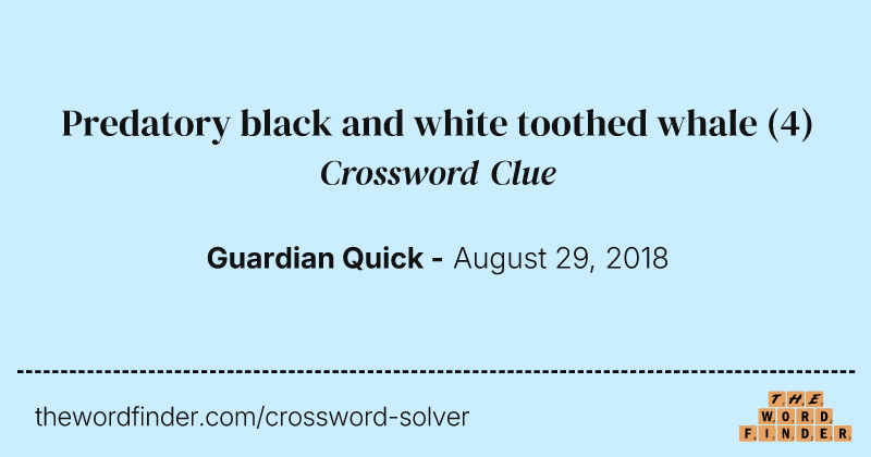 Predatory black and white toothed whale crossword clue image