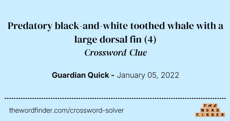 Predatory black-and-white toothed whale with a large dorsal fin crossword clue image