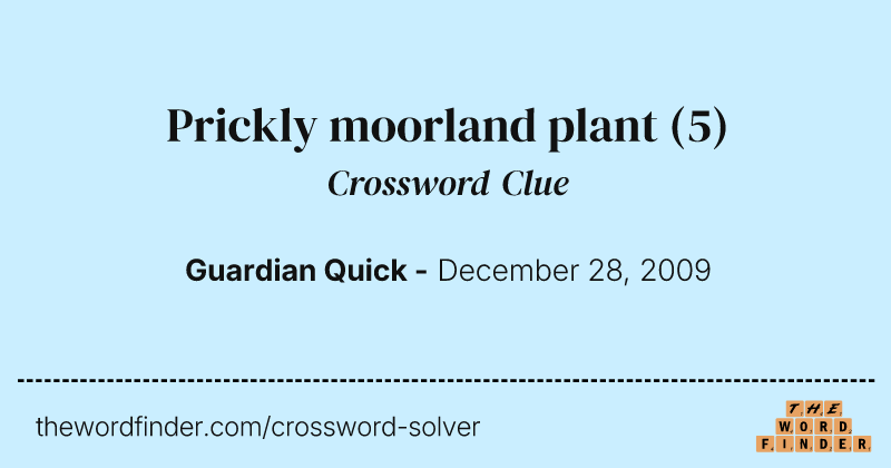 Prickly moorland plant crossword clue image