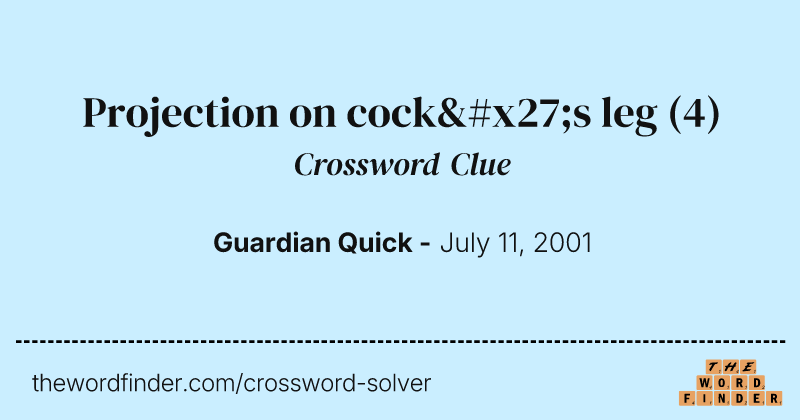 Projection on cock's leg crossword clue image