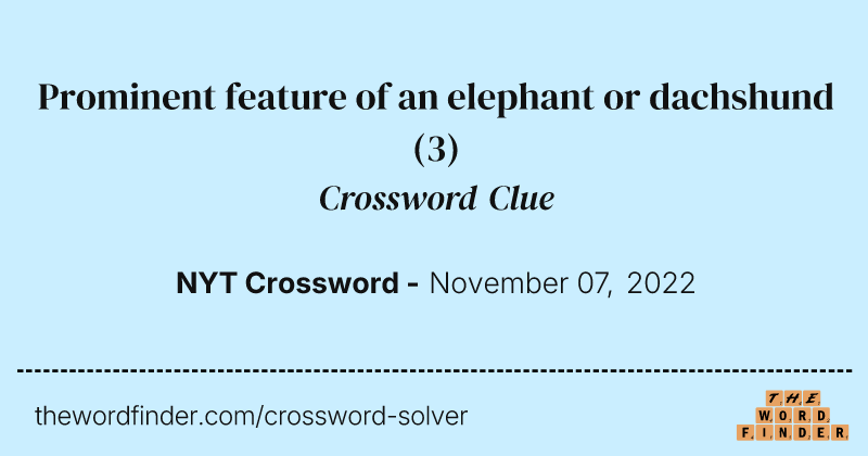 Prominent feature of an elephant or dachshund crossword clue image