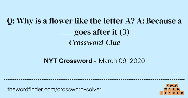 Q: Why is a flower like the letter A? A: Because a ___ goes after it crossword clue image