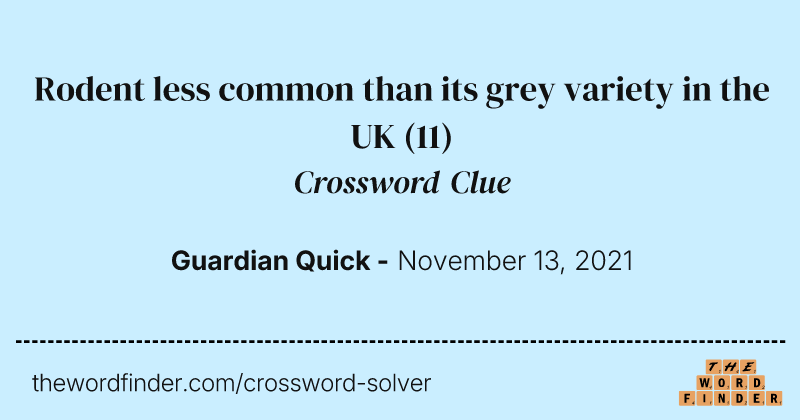 Rodent less common than its grey variety in the UK crossword clue image