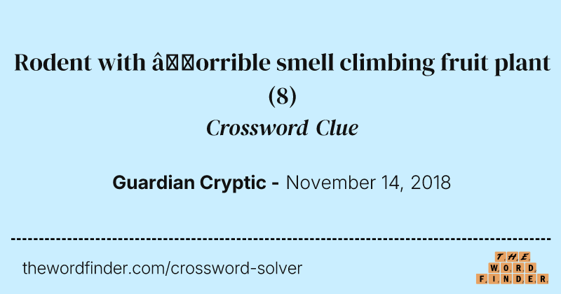 Rodent with ’orrible smell climbing fruit plant crossword clue image