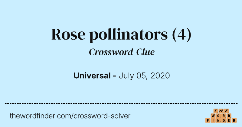 Rose pollinators crossword clue image