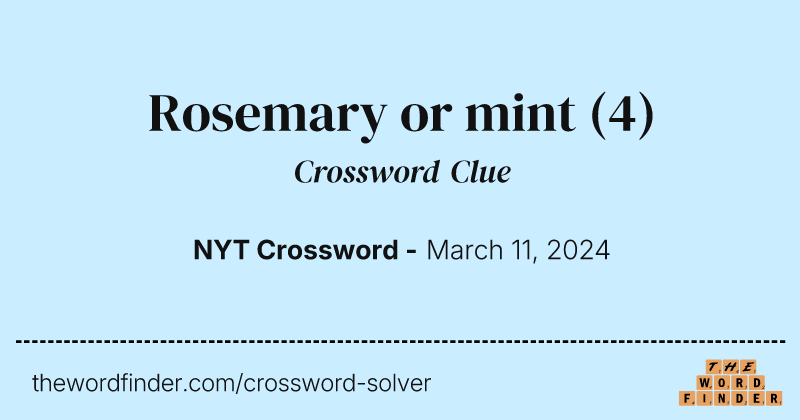 Rosemary or mint crossword clue image