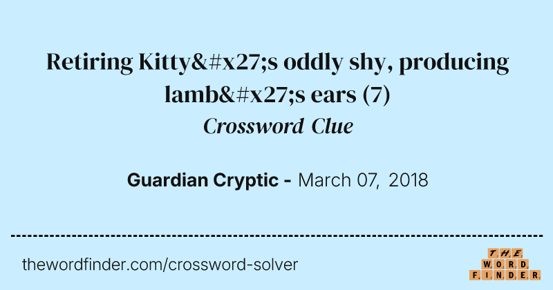 Retiring Kitty's oddly shy, producing lamb's ears crossword clue image