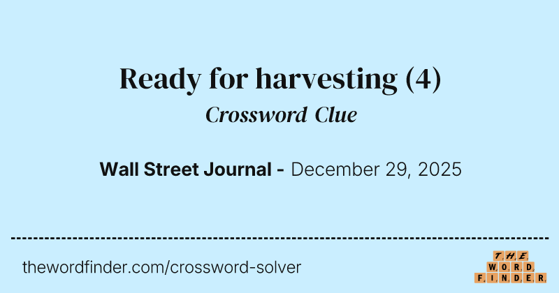 Ready for harvesting crossword clue image