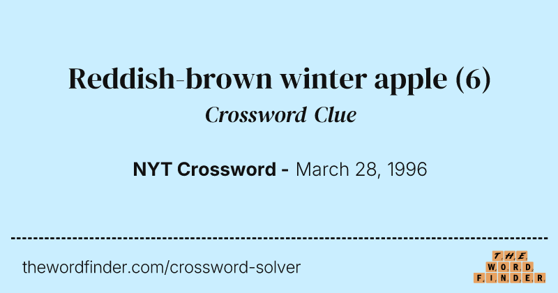 Reddish-brown winter apple crossword clue image