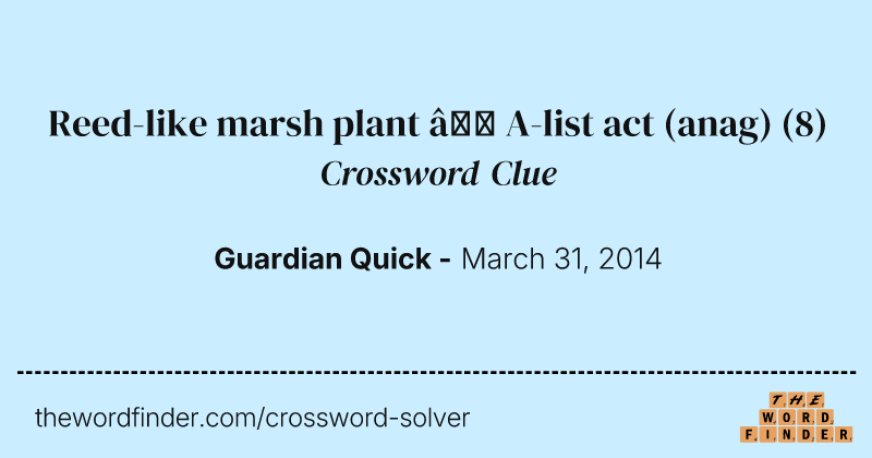 Reed-like marsh plant — A-list act (anag) crossword clue image