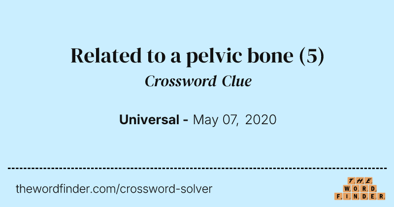 Related to a pelvic bone crossword clue image