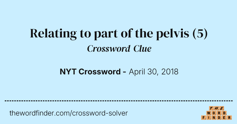 Relating to part of the pelvis crossword clue image