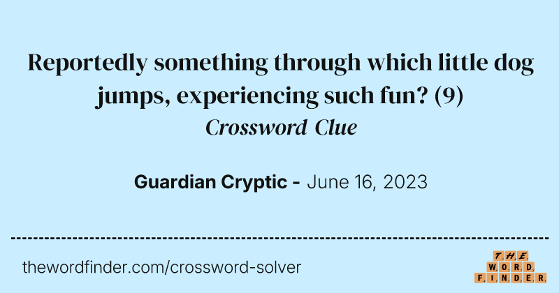 Reportedly something through which little dog jumps, experiencing such fun? crossword clue image