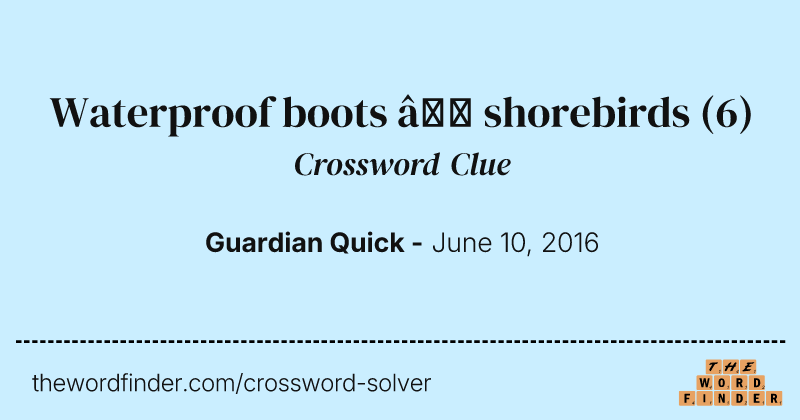 Waterproof boots — shorebirds crossword clue image