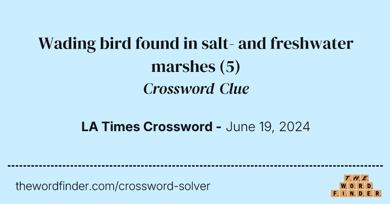 Wading bird found in salt- and freshwater marshes crossword clue image