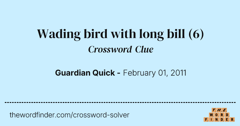Wading bird with long bill crossword clue image