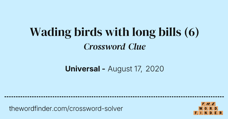 Wading birds with long bills crossword clue image