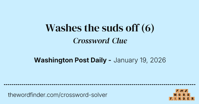 Washes the suds off crossword clue image