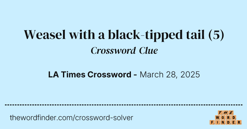 Weasel with a black-tipped tail crossword clue image
