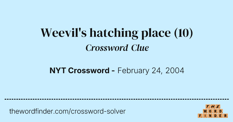 Weevil's hatching place crossword clue image
