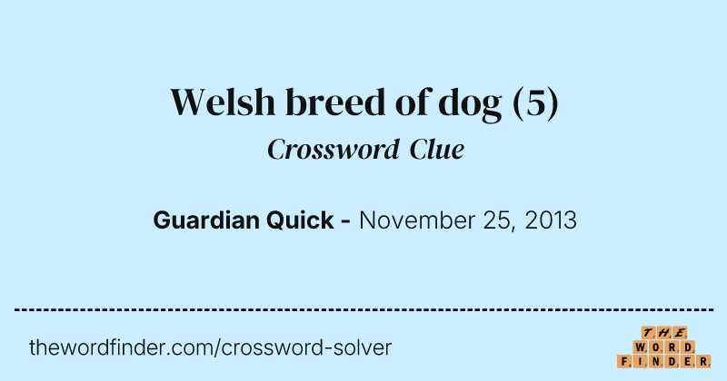Welsh breed of dog crossword clue image