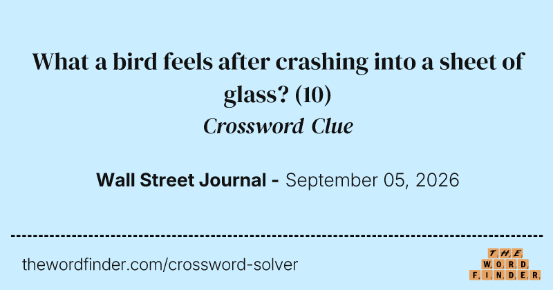 What a bird feels after crashing into a sheet of glass? crossword clue image