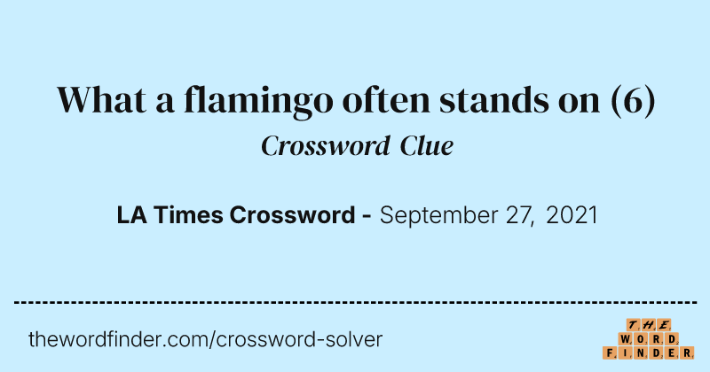 What a flamingo often stands on crossword clue image