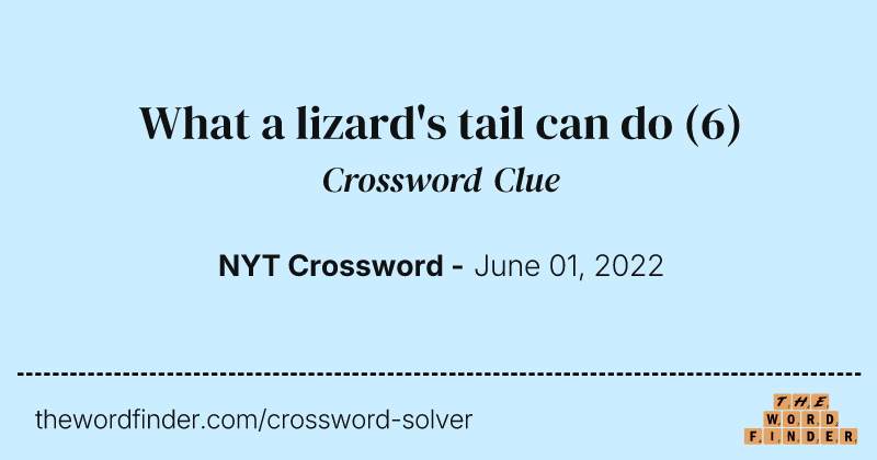 What a lizard's tail can do crossword clue image