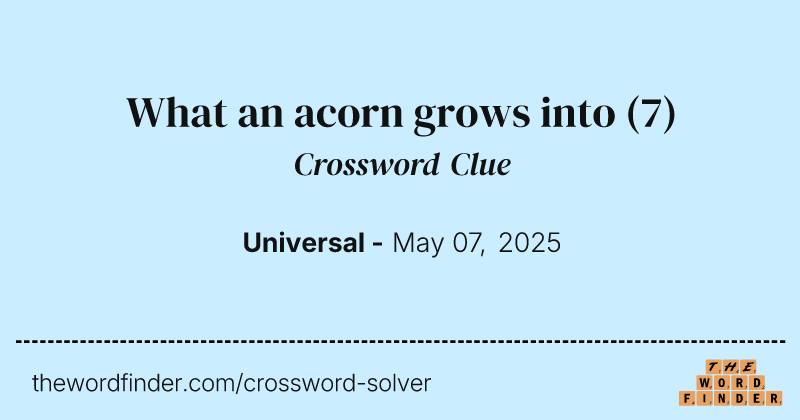 What an acorn grows into crossword clue image